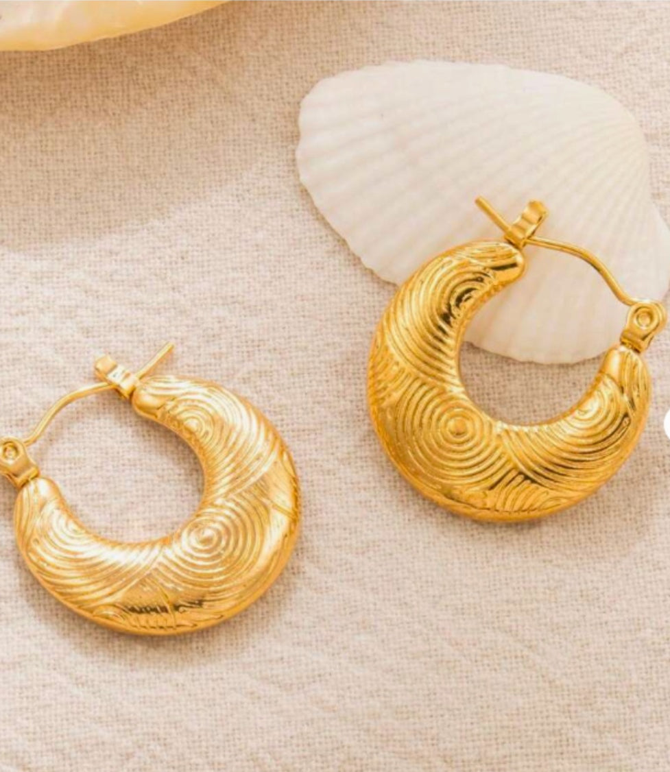 Trendy Round Hoop Earing