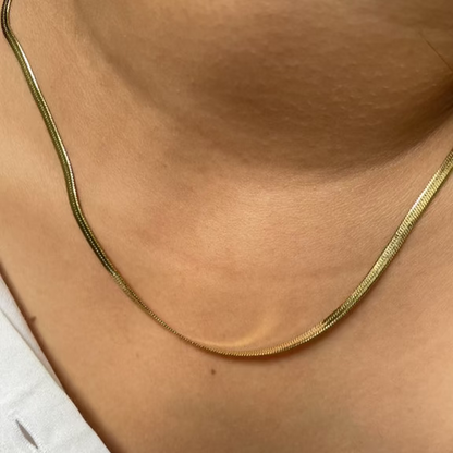 Trendy "Snake Chain"