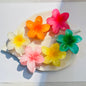 Pack of 2 Floral Claw Clip